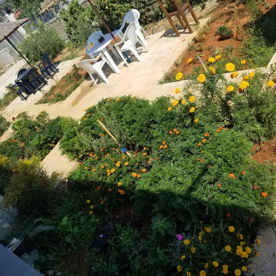 Rey Garden Villa Vlora Kültér fotó